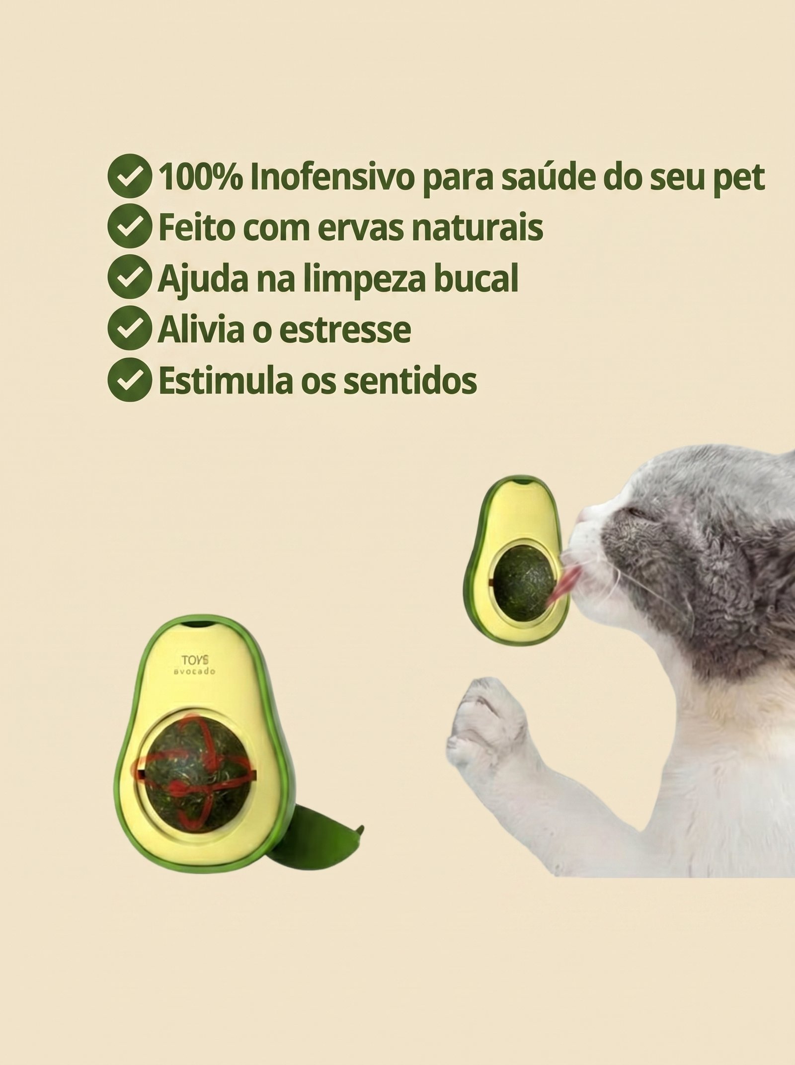 Opção 1