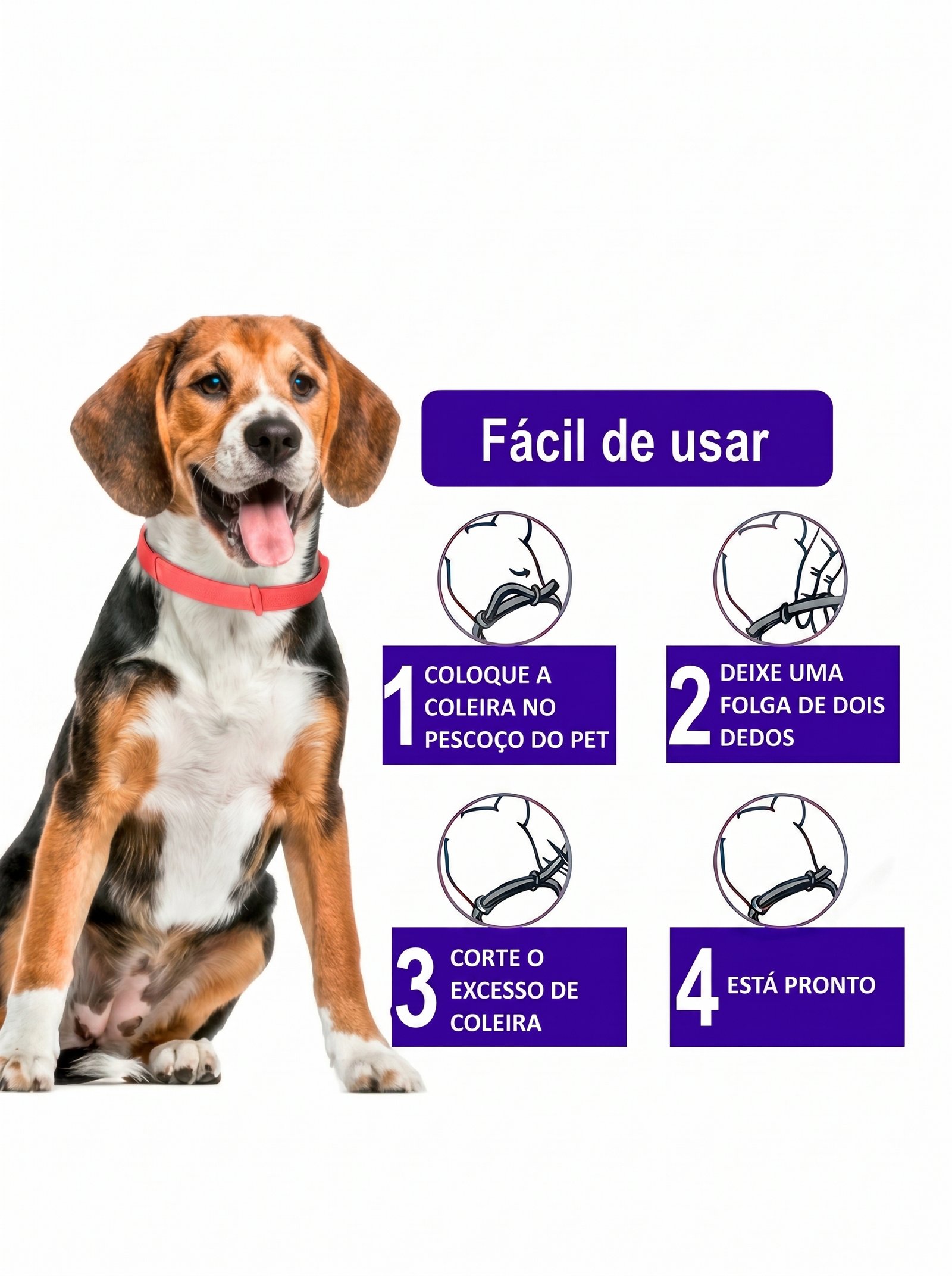 Opção 4