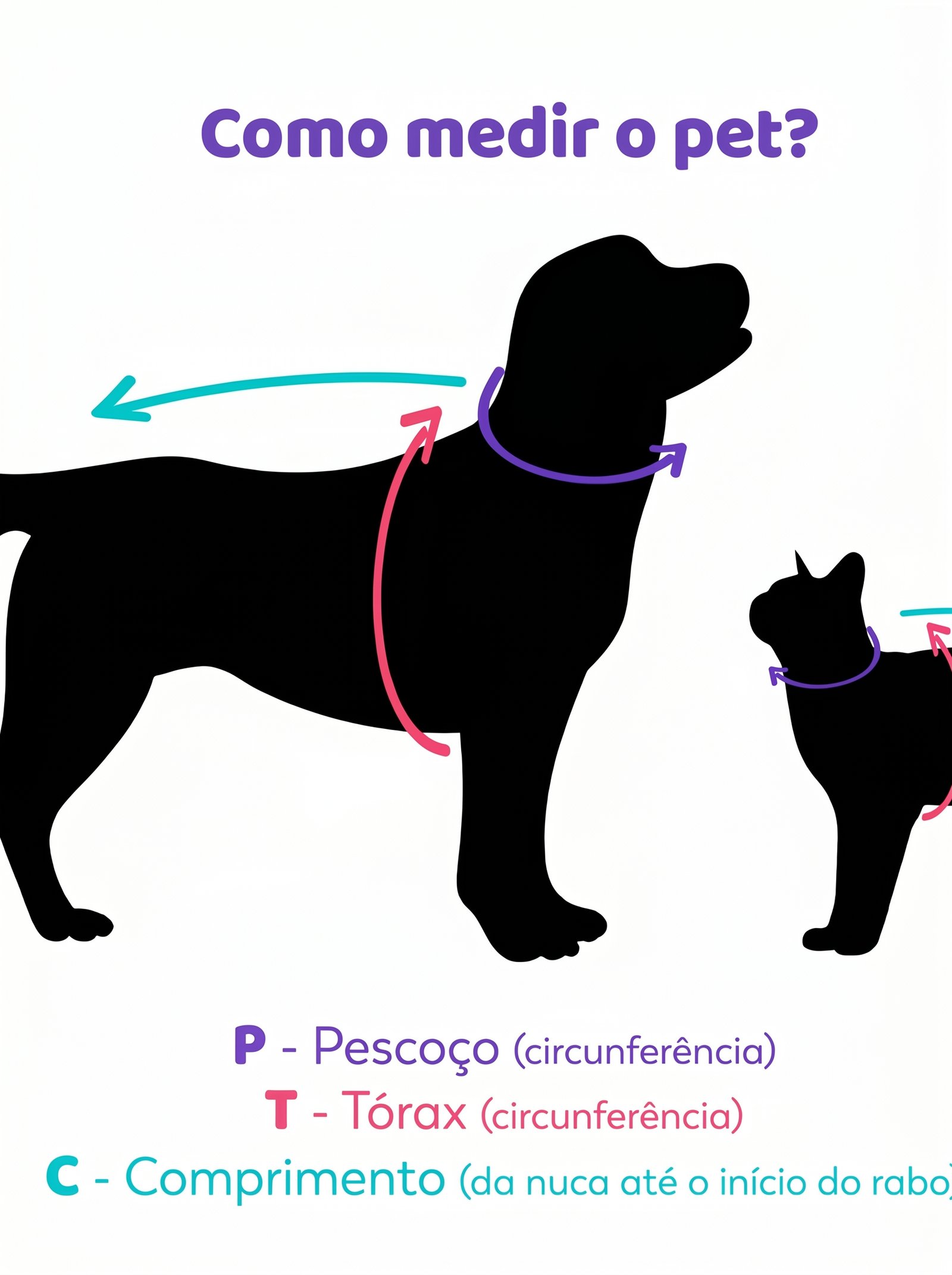 Opção 4