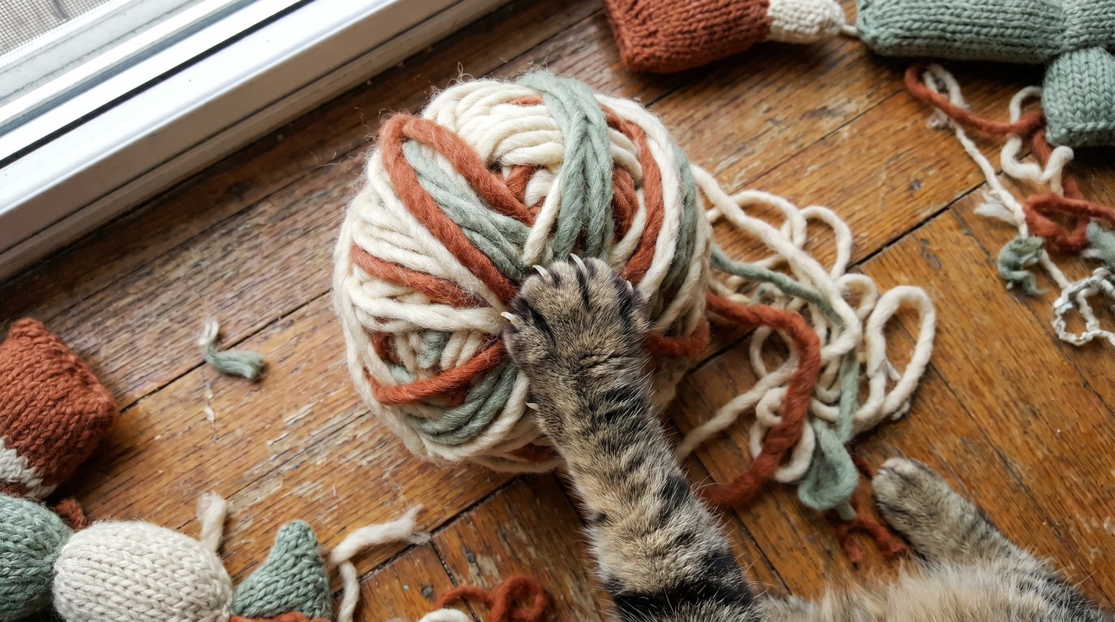 Gato brincando com novelo